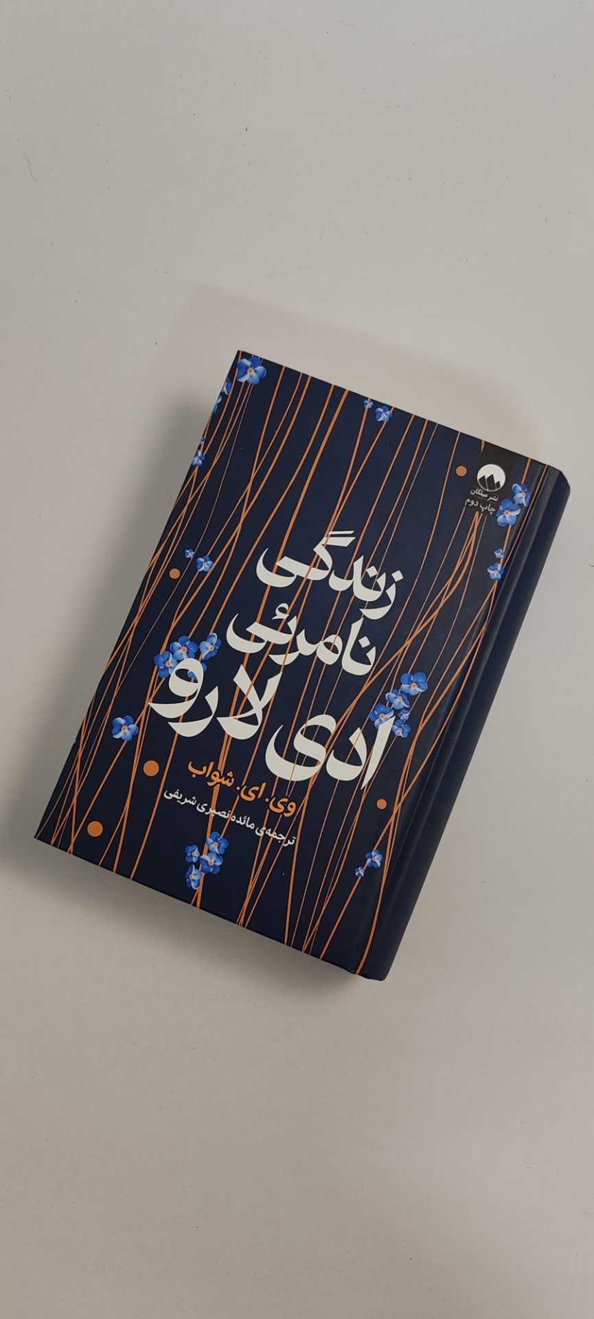 کتاب زندگی نامرئی ادی لارو
